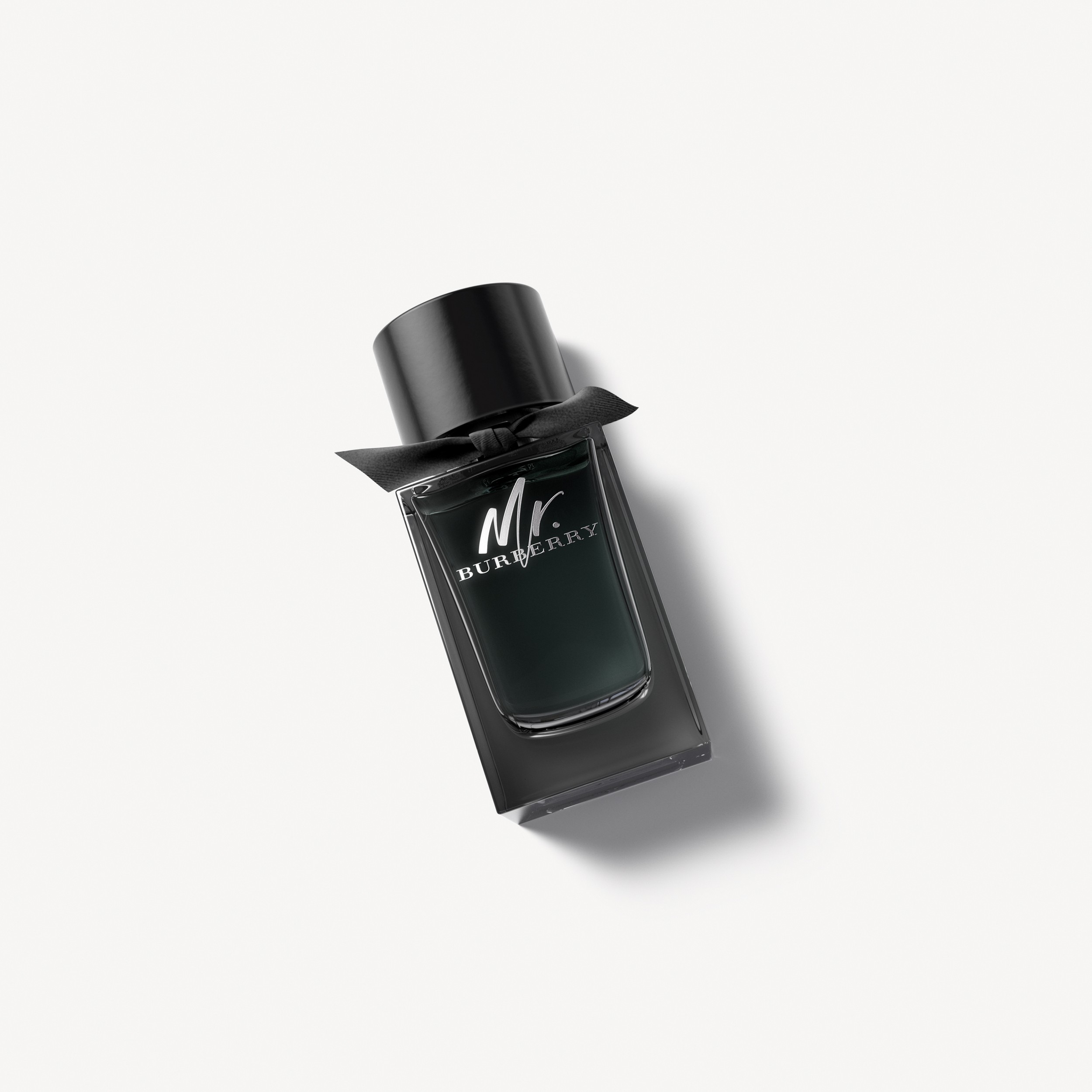 Mr. Burberry Eau de Parfum 100 ml (100ml) - Uomo | Sito ufficiale Burberry® - 1