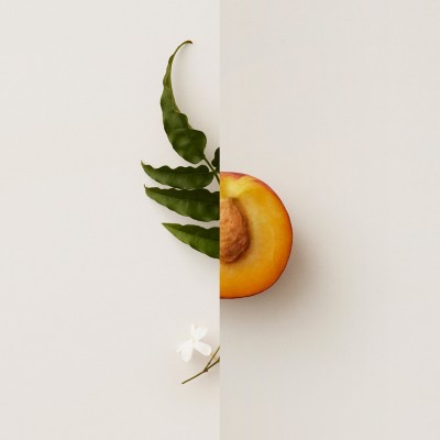 my burberry black liverpool