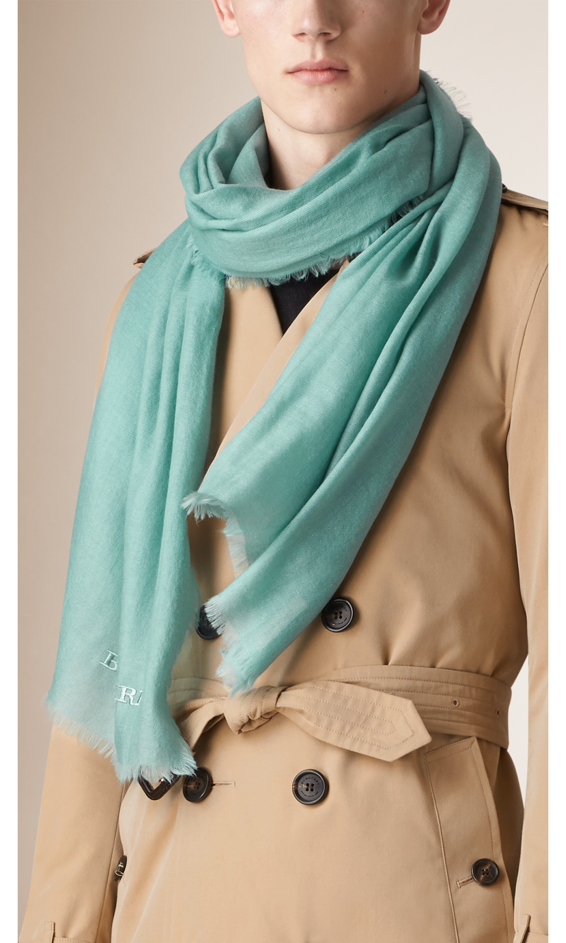 Embroidered Lightweight Cashmere Scarf in Light Green Opal - Women ...