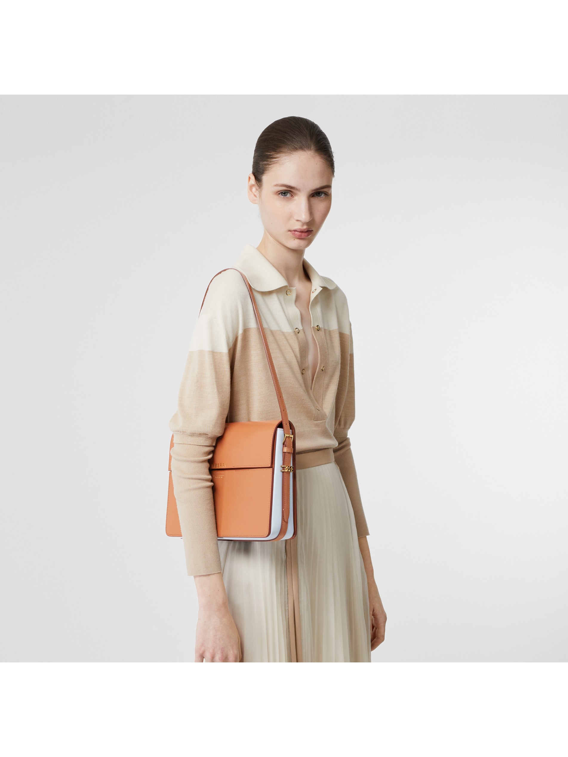 豆蔻色 / 浅蓝色 grace - 大号双色皮革格雷丝包 产品图片21