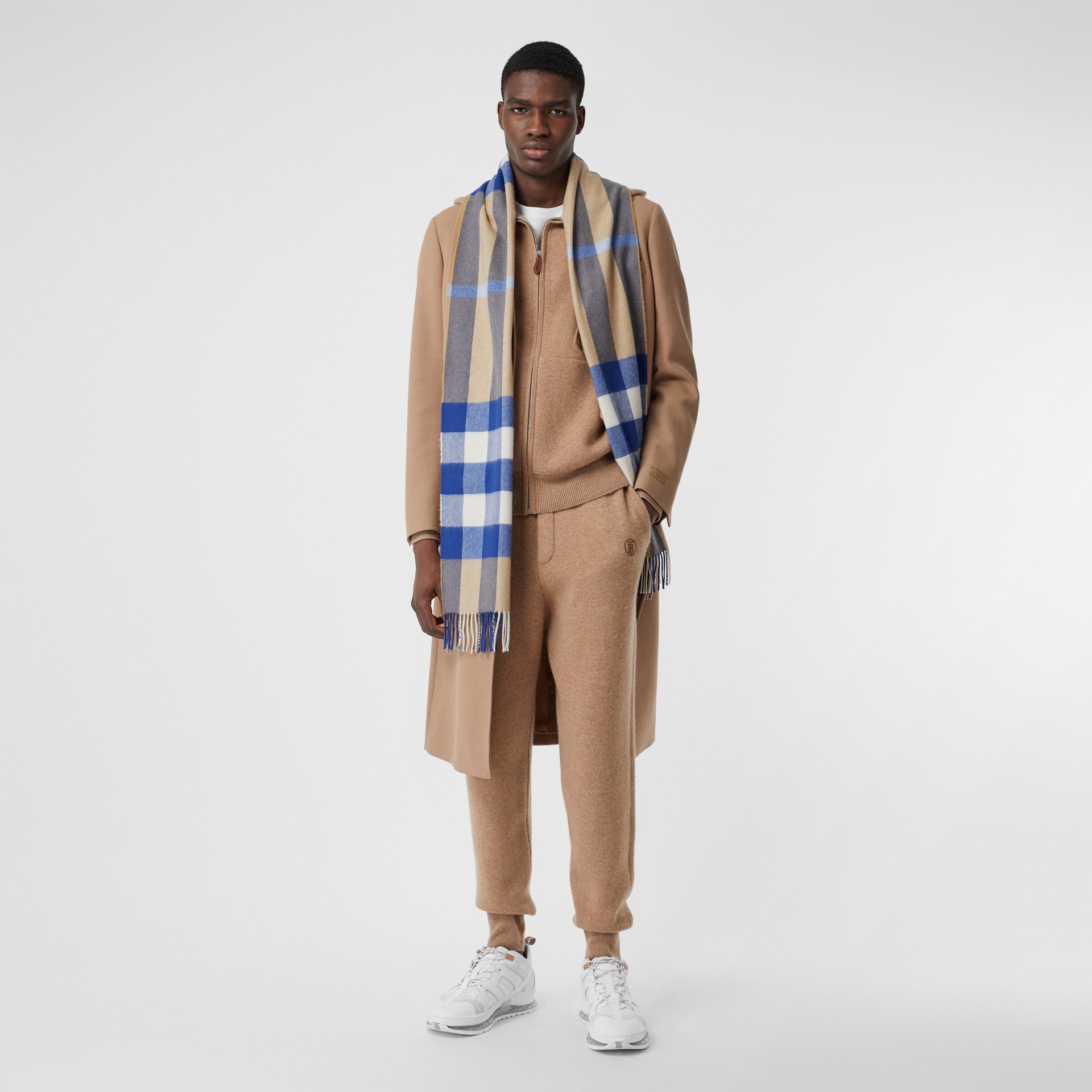Check Cashmere Scarf in Arc Beige/inky Blue | Burberry United States