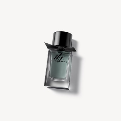 Mr. Burberry Eau de Toilette 100ml - Men | Burberry® Official