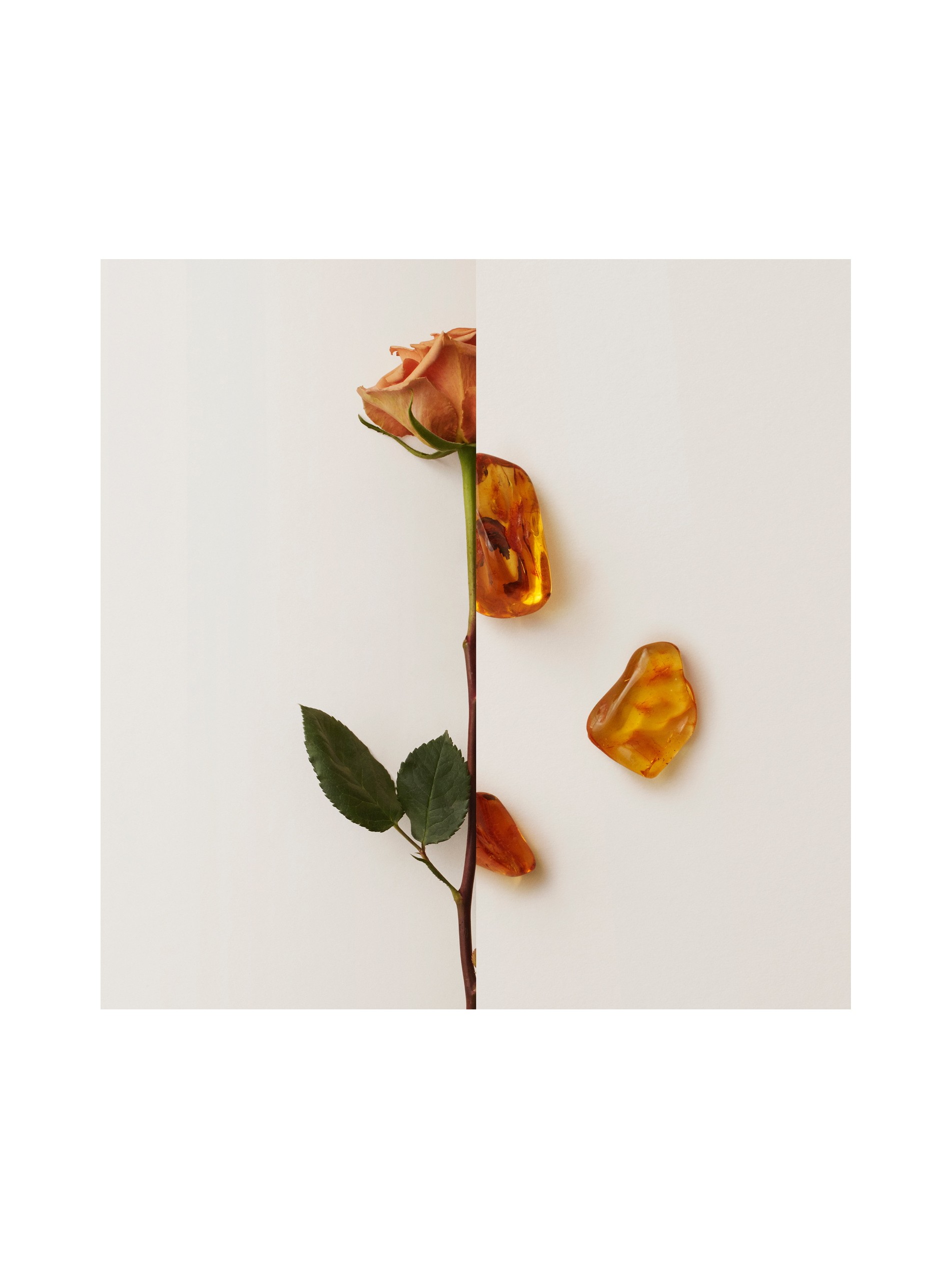 My Burberry Black 我的博柏利黑色香精 90ml 产品图片21