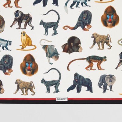 burberry monkey scarf