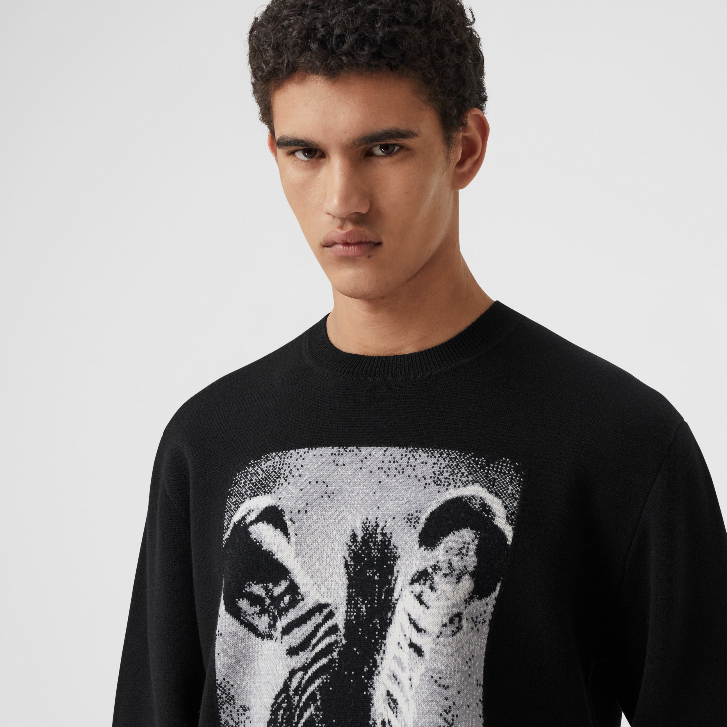Zebra Wool Jacquard Sweater in Black - Men | Burberry United States