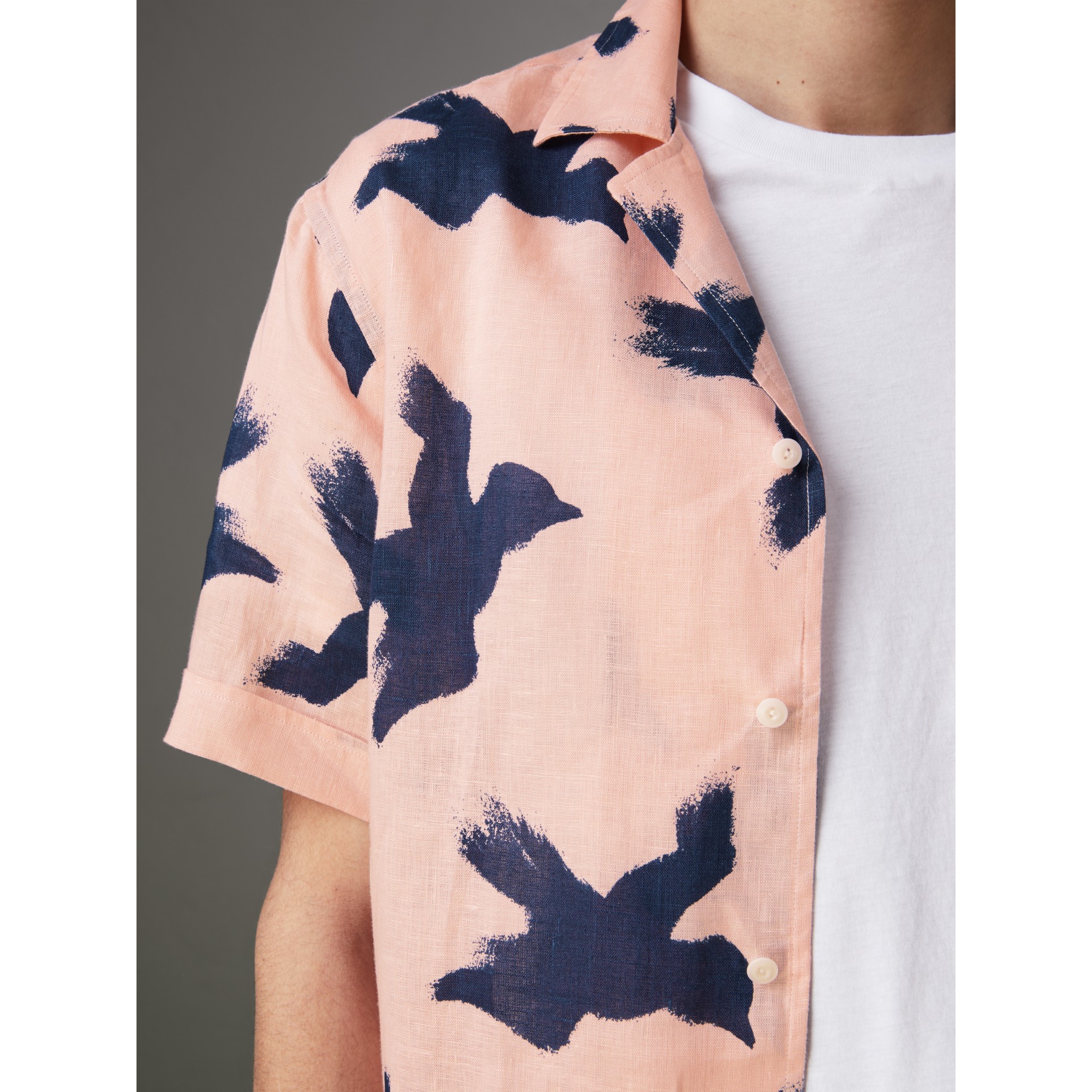 tommy bahama blue jeans