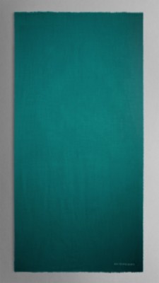 深青色 轻盈绣字羊绒围巾 - 图 4