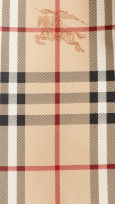 The Small Canter in Haymarket Check | Burberry