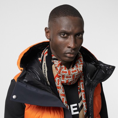 burberry monogram scarf