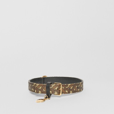 burberry dog collar